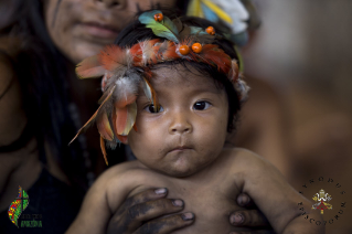 Preparatory Document for the Synod for the Amazon